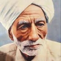 roop roop